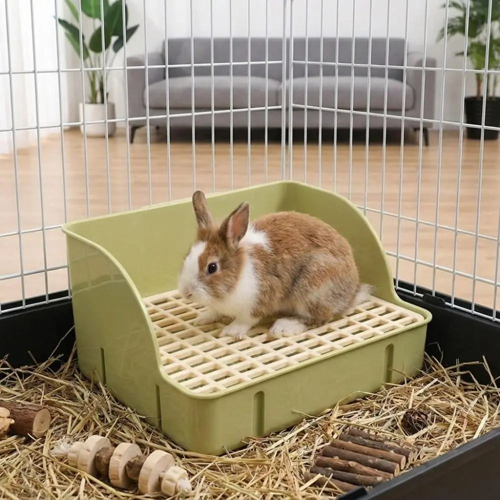 Un conejo pequeño marrón y blanco sentado dentro de una caja de arena verde claro y cuadriculada para mamíferos pequeños.