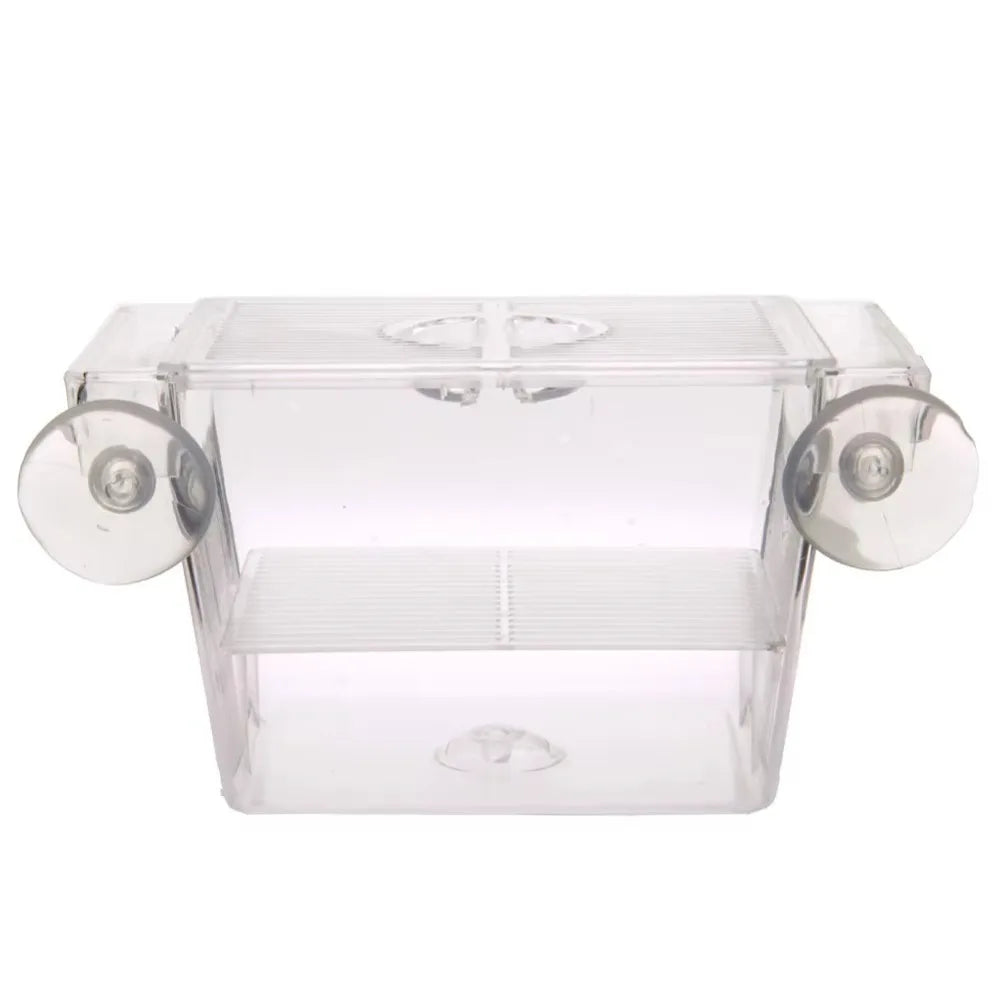 Clear acrylic fish breeding incubator with a lid and viewing ports.