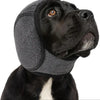 A black dog wearing a gray pet noise reduction ear muff.