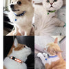 A collage of three cats wearing different reflective collars, including a white dog, a white cat, and an orange tabby cat.