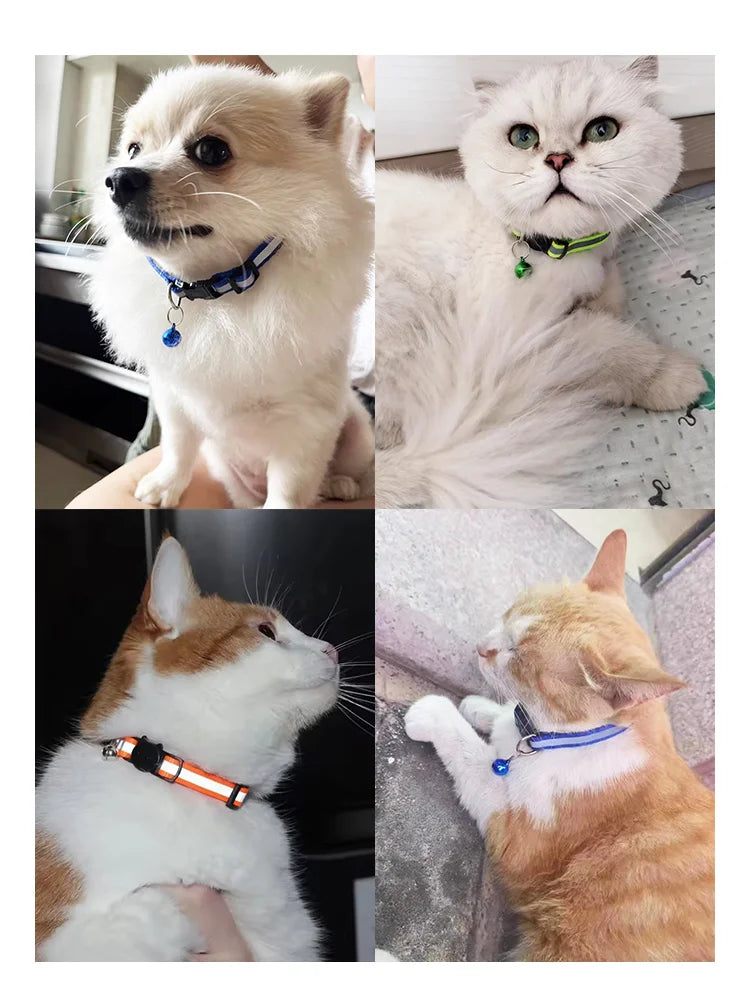 A collage of three cats wearing different reflective collars, including a white dog, a white cat, and an orange tabby cat.