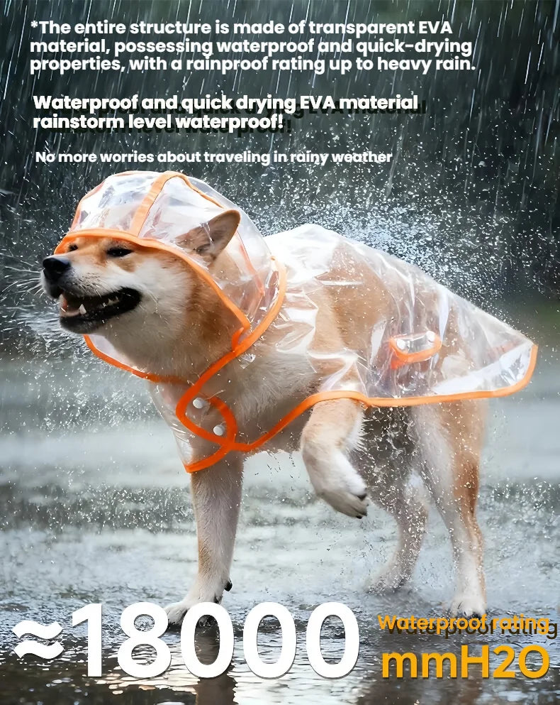 Un chien portant un imperméable orange transparent court dans l'eau, démontrant ses propriétés étanches.