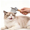 Eine Katze wird mit einer professionellen Fellpflegebürste und -rake gebürstet.