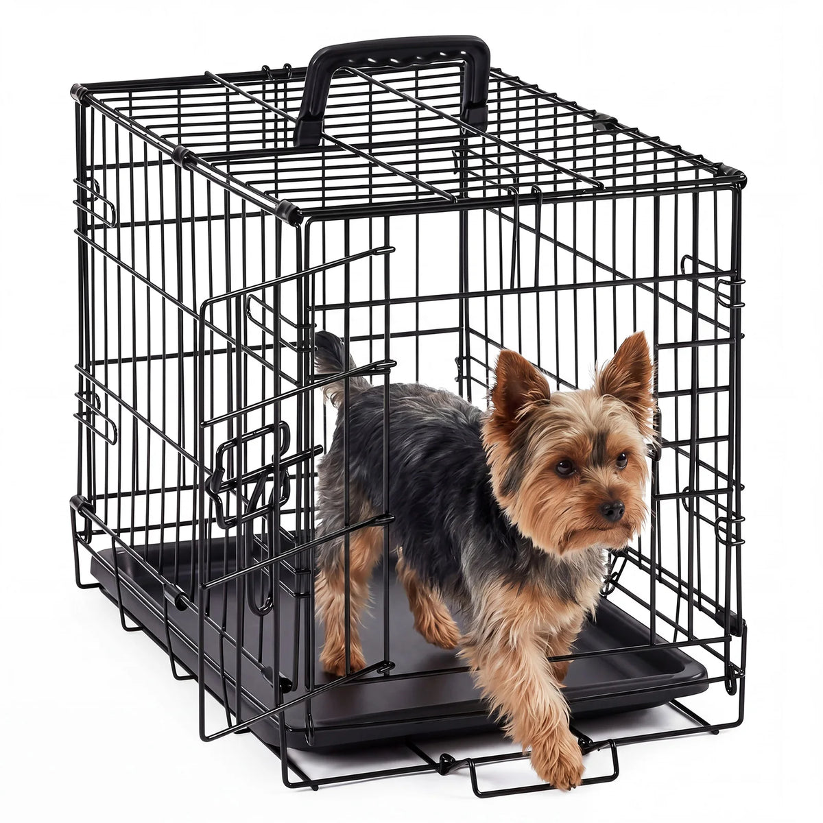 A black foldable metal pet crate with a security lock, shown from above.