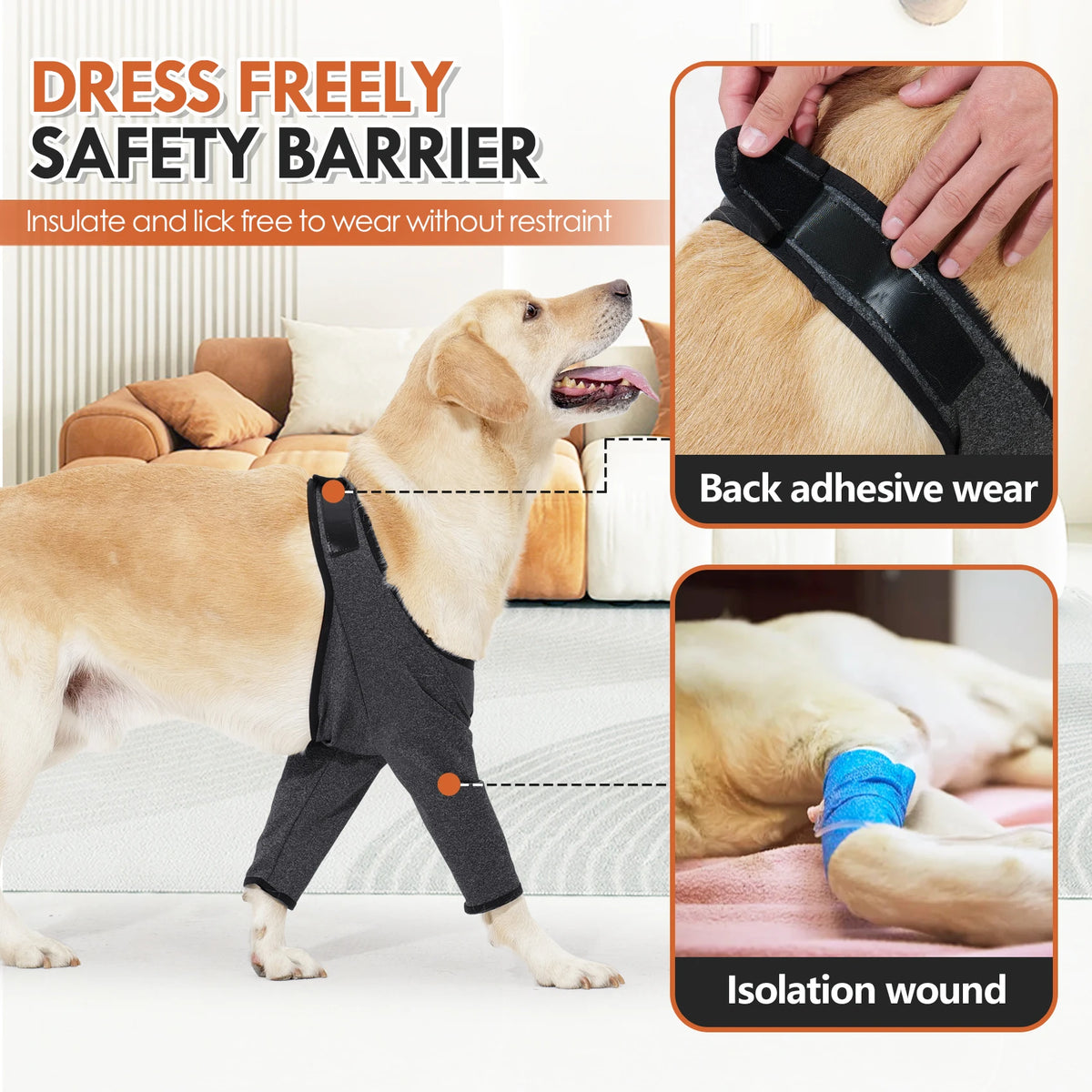 A dog wearing a black dress freely safety barrier suit for isolation of a leg wound.