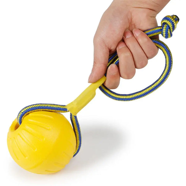 A hand is holding a yellow rubber fetch ball with a blue braided rope attached.