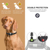A brown dog wearing an upgraded waterproof training collar with a dual protection feature.