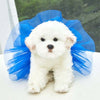 A white fluffy dog wearing a blue tulle tutu dress, looking directly at the camera.