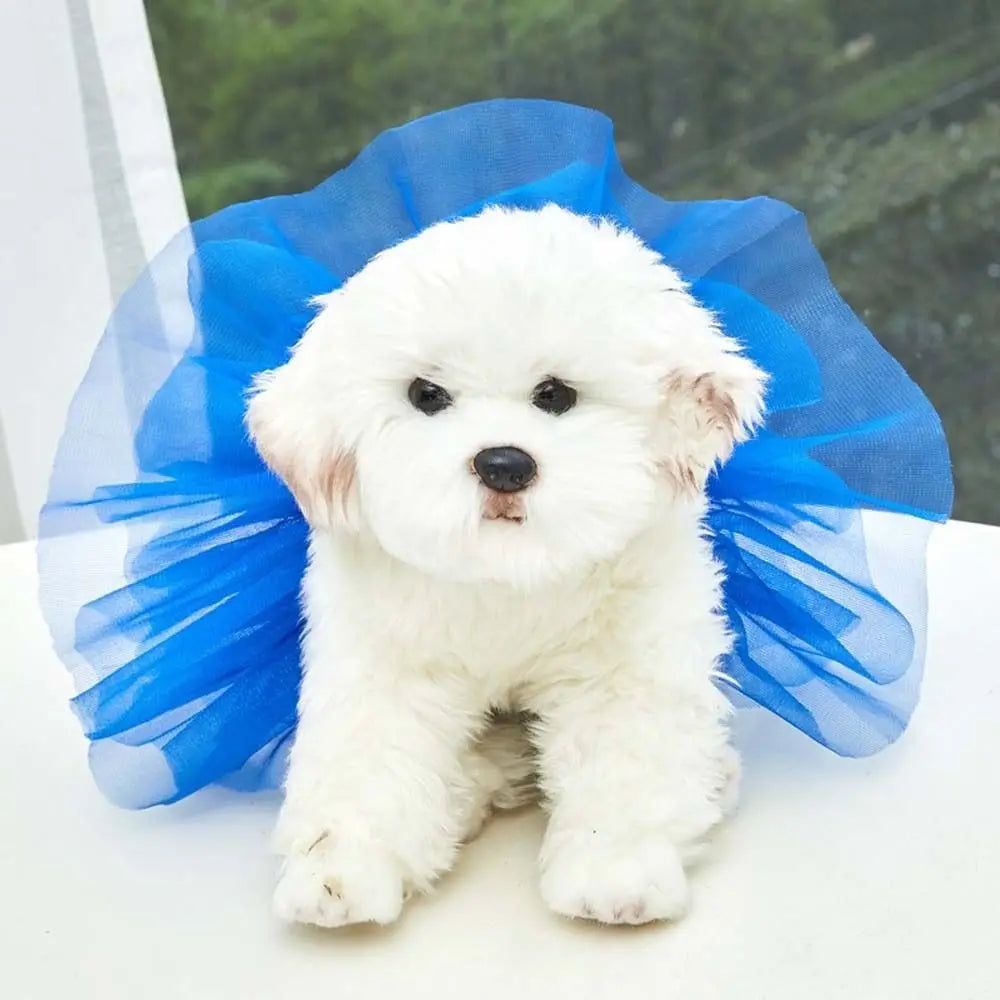 A white fluffy dog wearing a blue tulle tutu dress, looking directly at the camera.