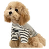 A light golden doodle dog wearing a striped thermal sweater.