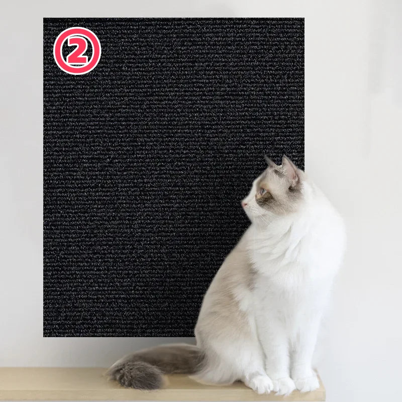 Eine weiße und graue Katze sitzt vor einer schwarzen Matte mit der Ziffer 2 darauf.