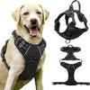 A black padded dog traction chest harness displayed on a dog.