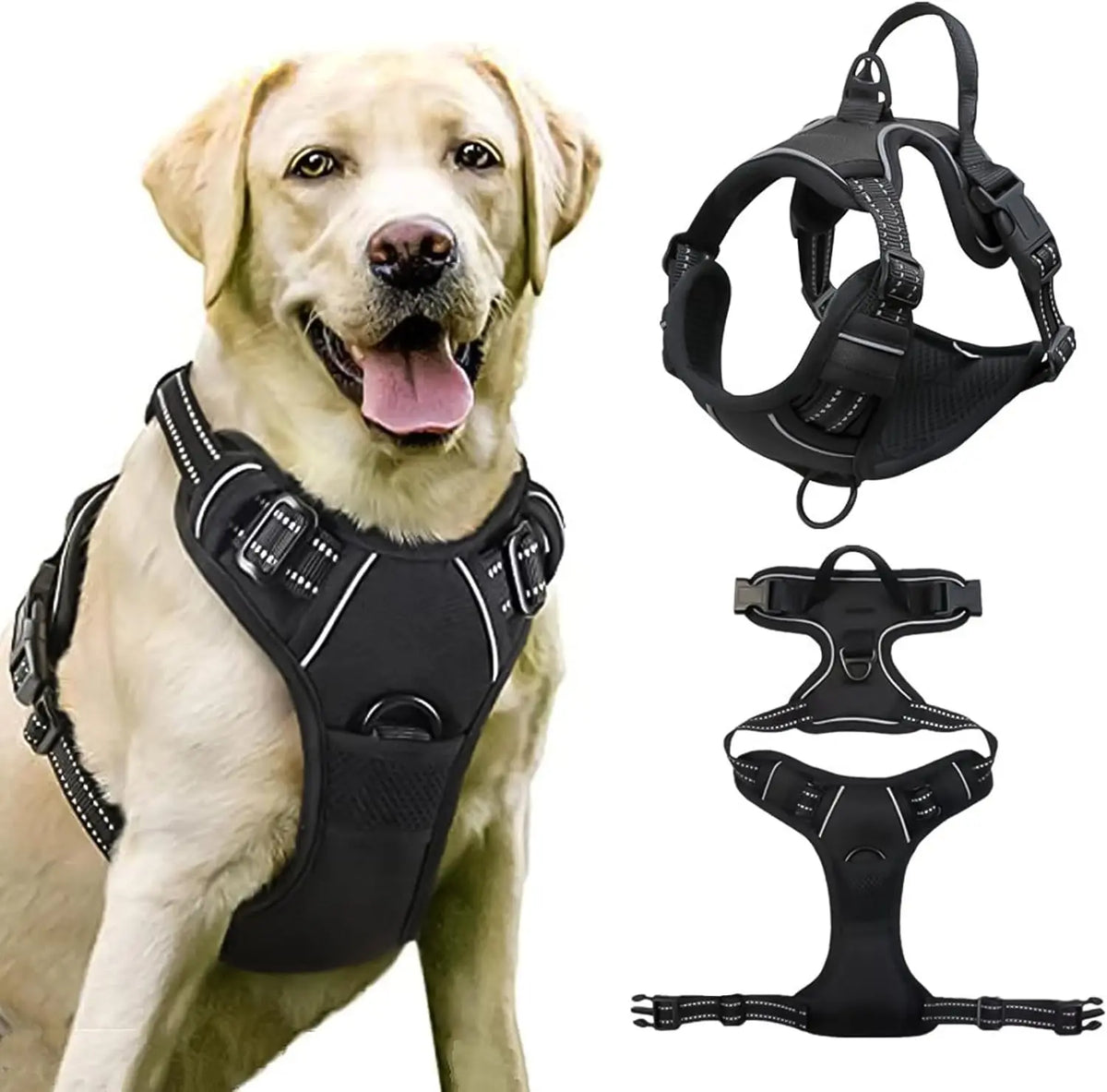 A black padded dog traction chest harness displayed on a dog.