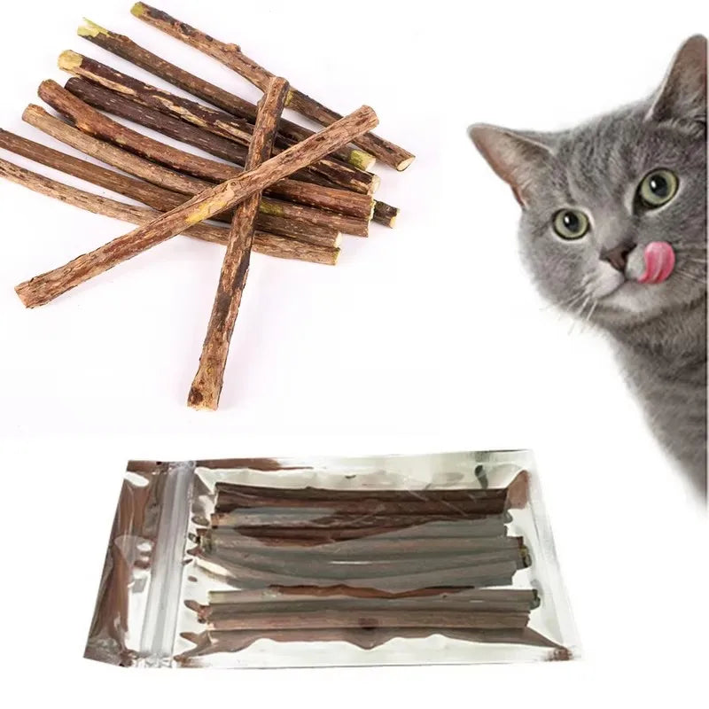 Dried natural herbal cat chew sticks arranged diagonally next to a gray cat with its tongue out.