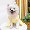A fluffy white dog wearing a yellow solid color pet dress with a D-ring.