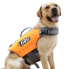 Un perro de color claro vistiendo un chaleco salvavidas naranja para mascotas.