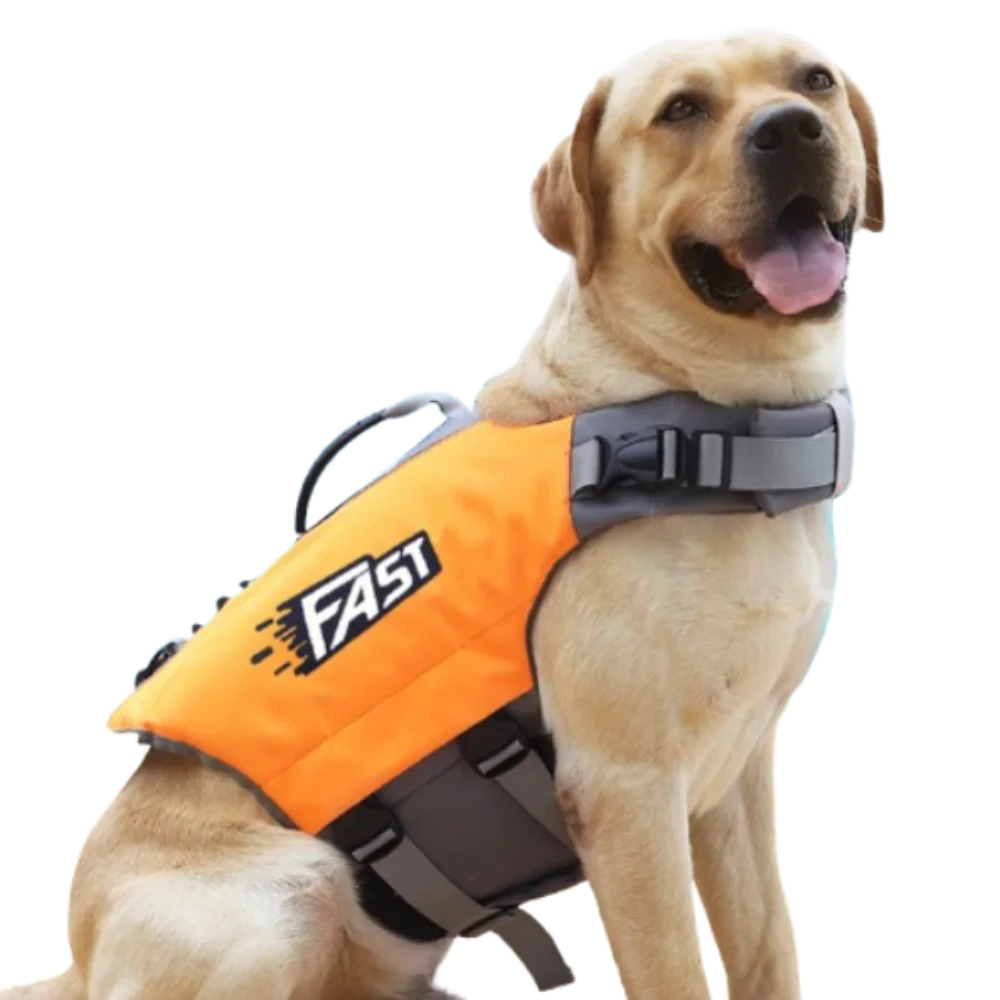 Un perro de color claro vistiendo un chaleco salvavidas naranja para mascotas.
