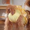 A fluffy brown dog is wearing a yellow reusable diaper with a ruffled yellow fabric.