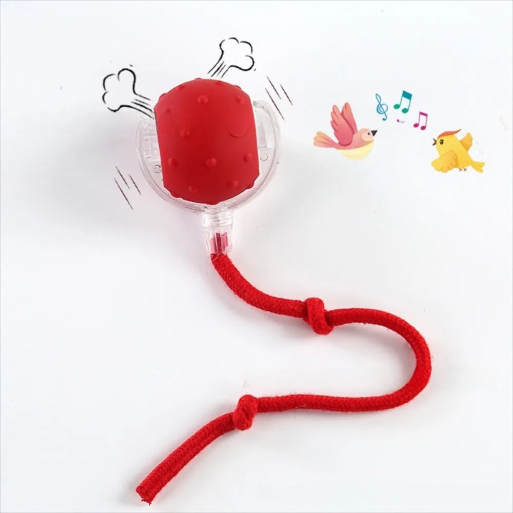 A red training ball with a silicone cover and a red string attached, used for automatic cat and dog training.