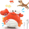 An orange plush crab toy with white eyes and a white bouncing ball, next to a dog.