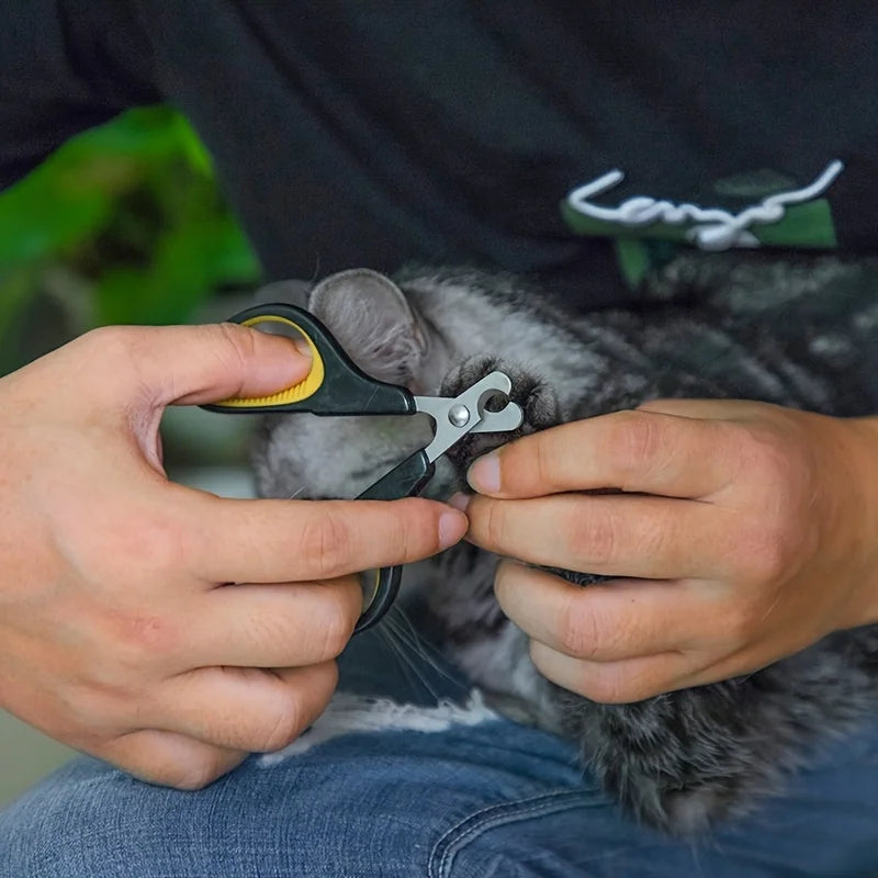 A person is using a pair of small silver nail clippers to trim the nail of a gray cat.