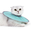Un chat gris et duveteux portant un collier de récupération vétérinaire bleu clair.