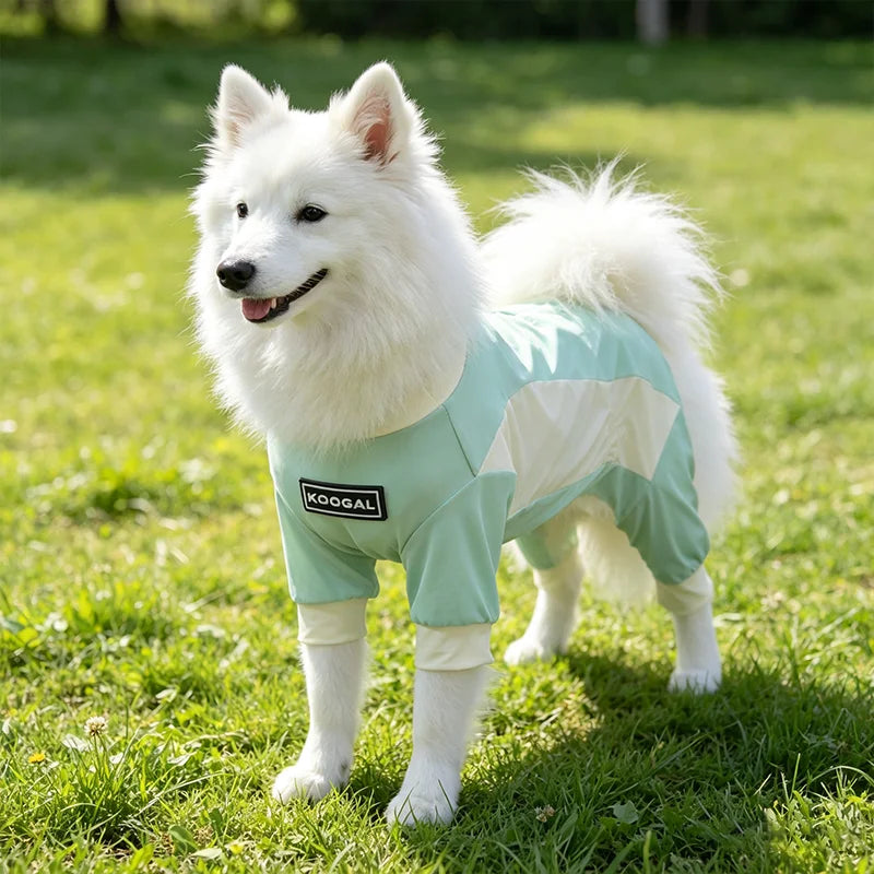 A white dog wearing a light green summer cooling suit outdoors in a grassy field.