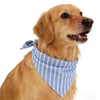 A golden retriever wearing a blue and white striped cotton dog bandana around its neck.