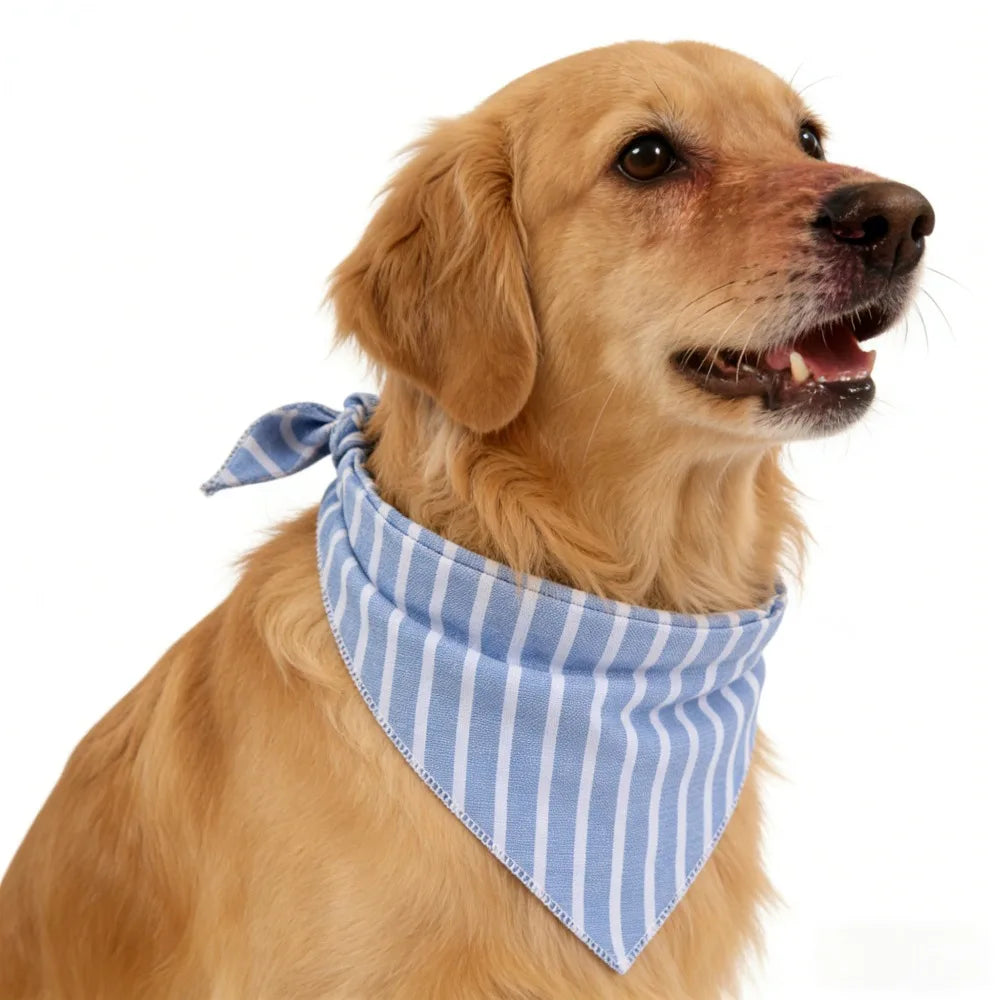 A golden retriever wearing a blue and white striped cotton dog bandana around its neck.