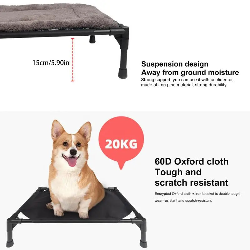 A brown dog is sitting on a black portable elevated cot with a removable shade canopy.