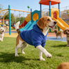 A brown and white dog wearing a blue hooded sweatshirt standing on green grass near playground equipment.