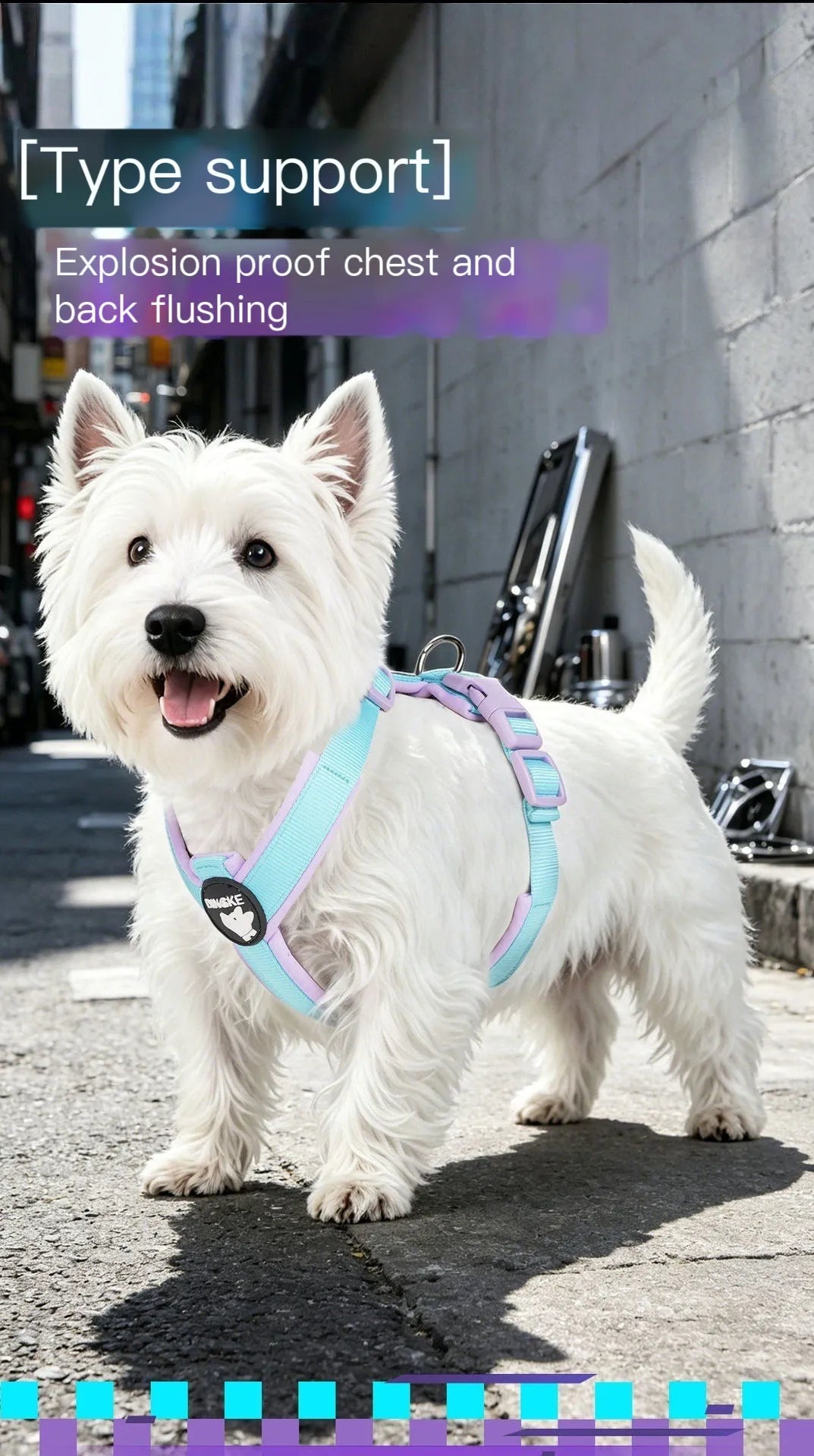 A white dog wearing a light blue harness is standing outdoors on pavement.