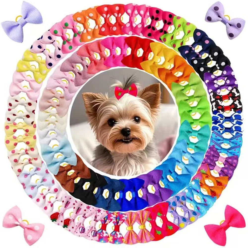 A colorful, circular arrangement of 50 handmade dog bows with rubber bands.