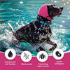 A black dog wearing a pink ear muff and blue collar running through splashing water.