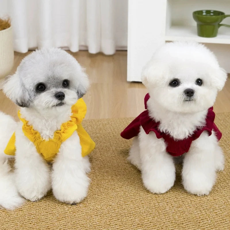 Two fluffy white puppy dogs wearing vintage corduroy pet dresses with bows and ruffled skirts