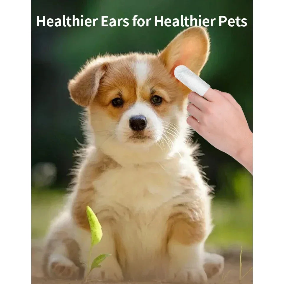 A small dog is shown with a person cleaning its ear using white finger wipes.