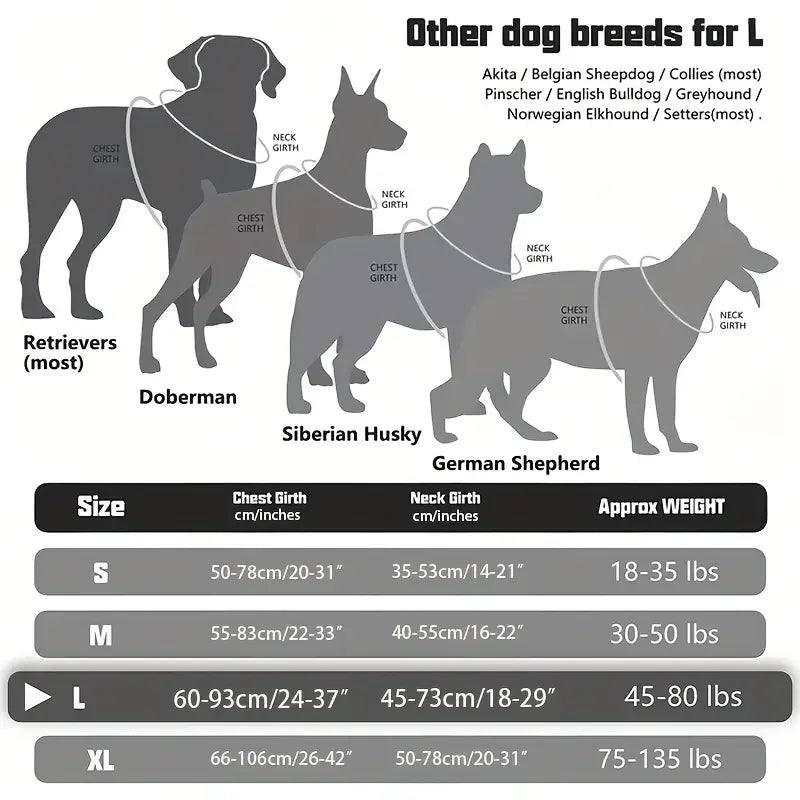 A comparison chart showing sizes and weights for different dog breeds including Retrievers, Doberman, Siberian Husky, and Ger