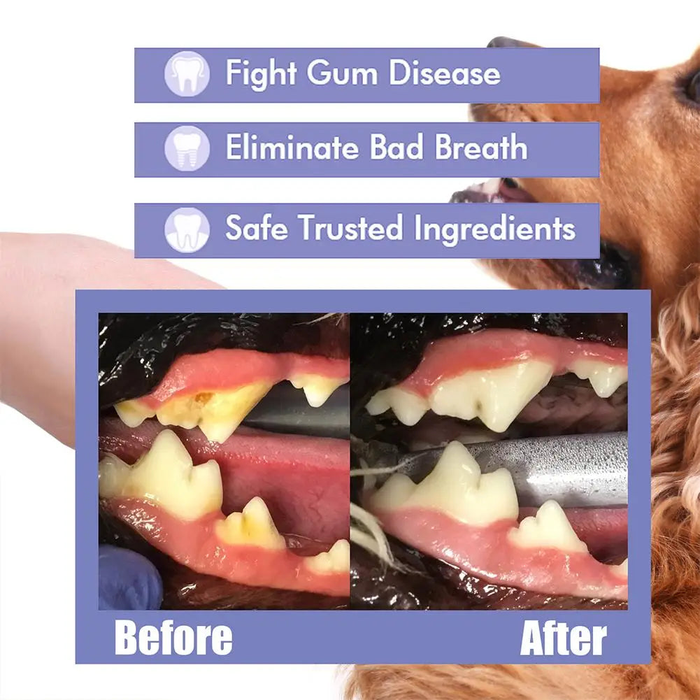 Before and after images showing a natural pet dental spray for oral care on a dog's mouth.