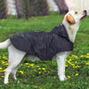 A light-colored dog is standing in the grass wearing a black waterproof raincoat while it is raining.