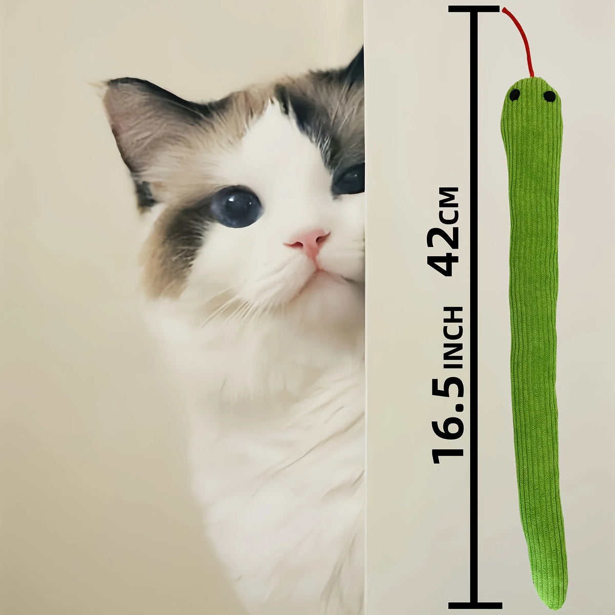 Ein flauschiger grau-weißer Kater neben einem langen, grünen Knisterspielzeug mit 42 cm.