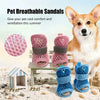 A fluffy dog sits next to four pink and blue breathable mesh sandals for summer protection.