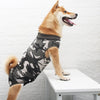 A light brown dog wearing a camouflage pet recovery suit standing on a white table.