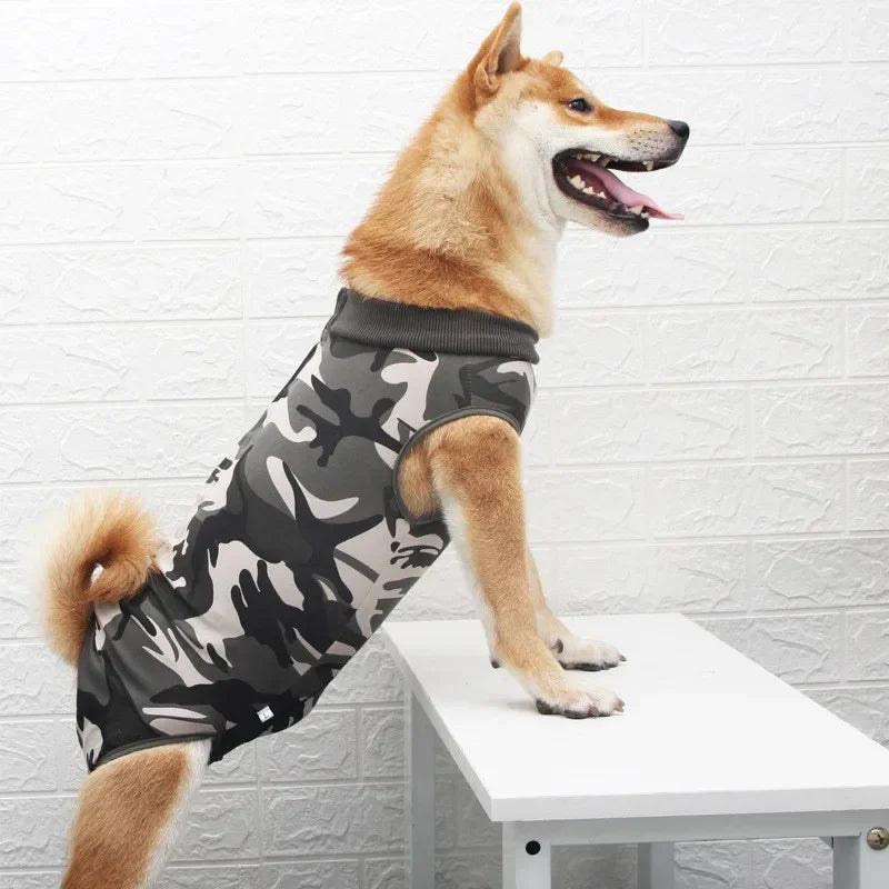 A light brown dog wearing a camouflage pet recovery suit standing on a white table.