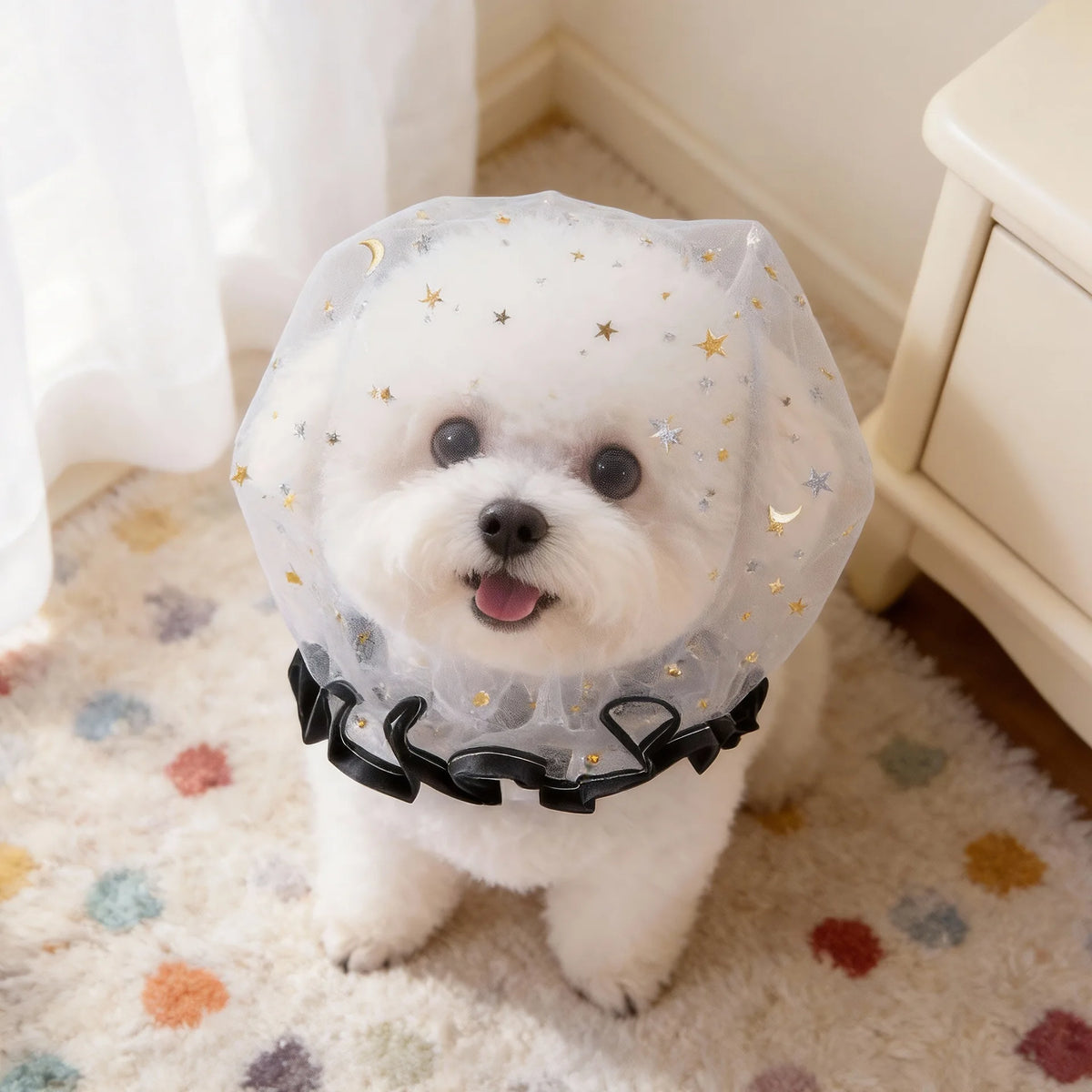 Un perro blanco vistiendo un collar de malla transparente con estrellas doradas y un borde de volantes negros.