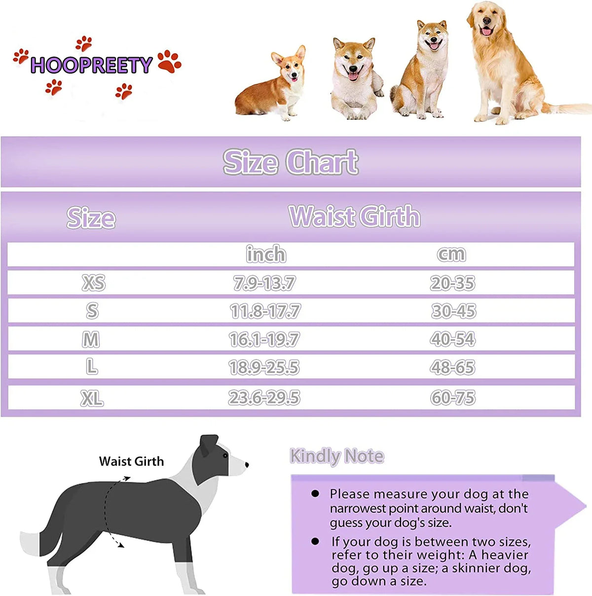 A chart showing size conversions for reusable female dog diapers, including waist girth measurements in inches and centimeter