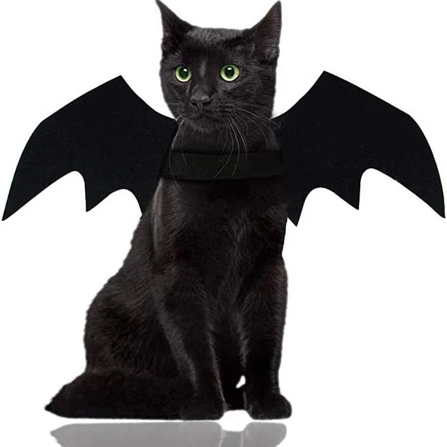 Costume de chat noir avec de grandes ailes de chauve-souris noires.