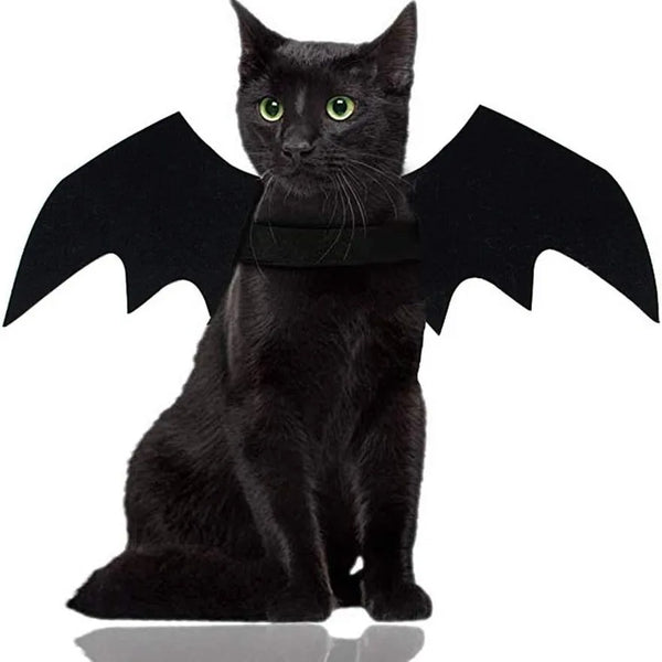 Costume de chat noir avec de grandes ailes de chauve-souris noires.