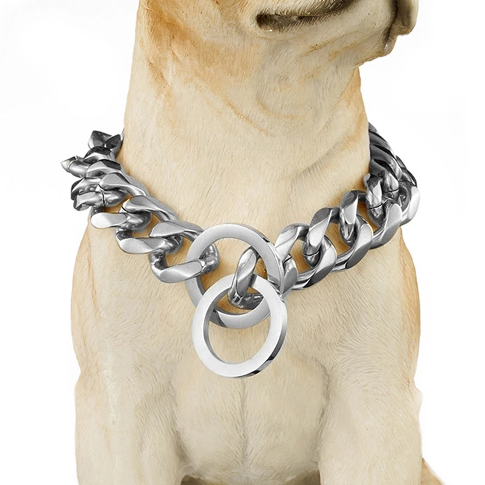 Stainless steel dog collar with a Cuban link design worn around the neck of a large breed animal.