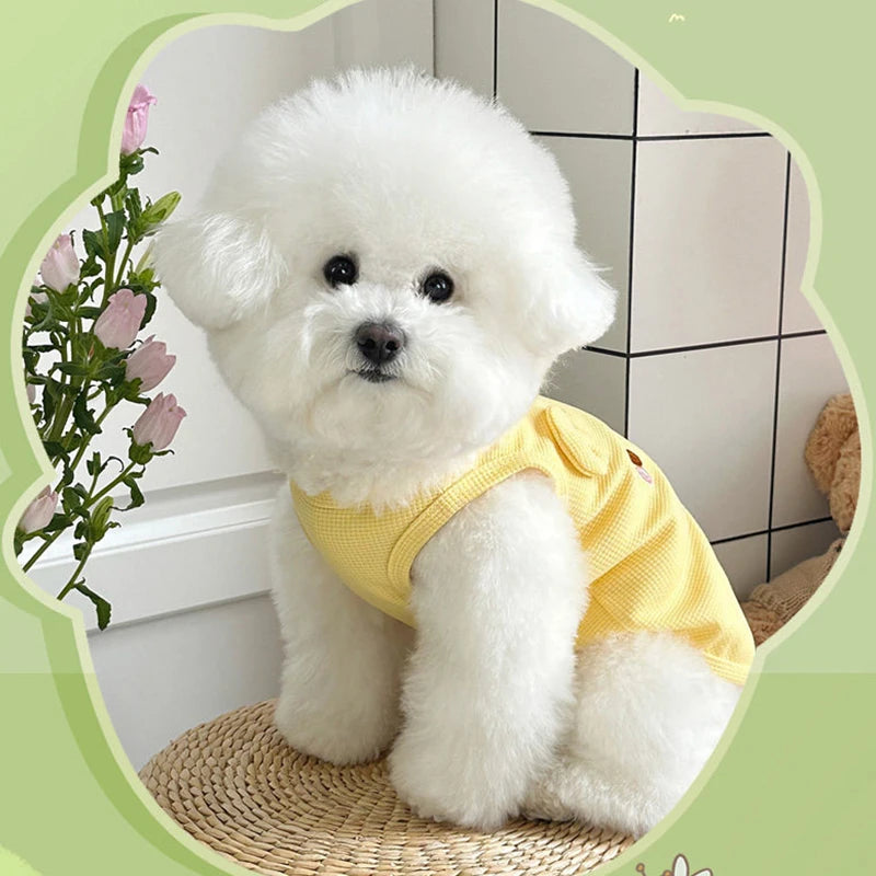 A fluffy white dog wearing a yellow waffle knit pet vest, sitting on a woven mat.