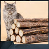 A fluffy gray cat sits next to a stack of natural herbal cat chew sticks.